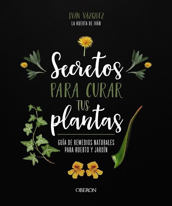 SECRETOS PARA CURAR TUS PLANTAS | 9788441547162 | VÁZQUEZ MUÑOZ, IVÁN | Llibreria Online de Vilafranca del Penedès | Comprar llibres en català