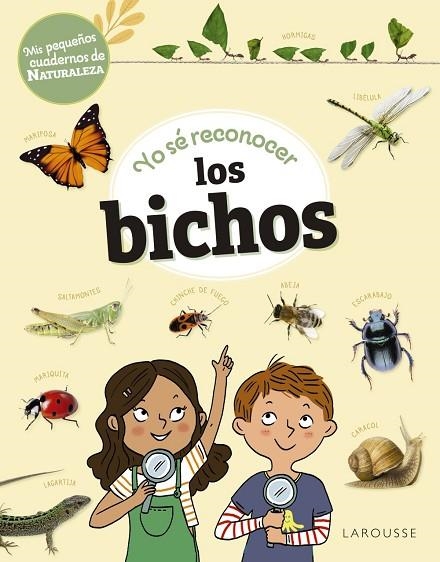 YO SÉ RECONOCER LOS BICHOS | 9788419436276 | LEBRUN, SANDRA | Llibreria Online de Vilafranca del Penedès | Comprar llibres en català