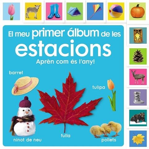 EL MEU PRIMER ÁLBUM DE LES ESTACIONS | 9788413492483 | SIRETT, DAWN | Llibreria Online de Vilafranca del Penedès | Comprar llibres en català