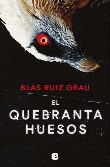 EL QUEBRANTAHUESOS NICOLÁS VALDÉS 4 | 9788466673600 | RUIZ GRAU, BLAS | Llibreria Online de Vilafranca del Penedès | Comprar llibres en català