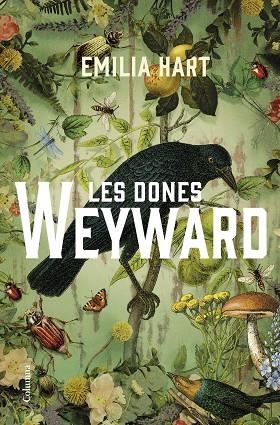 LES DONES WEYWARD | 9788466430210 | HART, EMILIA | Llibreria Online de Vilafranca del Penedès | Comprar llibres en català