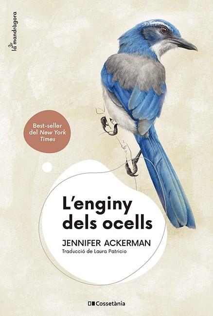 L'ENGINY DELS OCELLS | 9788413562544 | ACKERMAN, JENNIFER | Llibreria Online de Vilafranca del Penedès | Comprar llibres en català