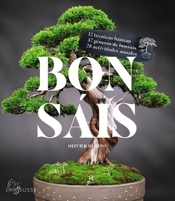 BONSAIS | 9788419436610 | SAMSON, RÉMY/SAMSON, ISABELLE | Llibreria Online de Vilafranca del Penedès | Comprar llibres en català