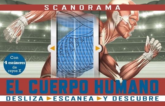 SCANORAMA EL CUERPO HUMANO | 9788469667620 | CLAYBOURNE, ANNA | Llibreria Online de Vilafranca del Penedès | Comprar llibres en català