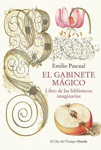 EL GABINETE MÁGICO | 9788419553041 | PASCUAL, EMILIO | Llibreria Online de Vilafranca del Penedès | Comprar llibres en català