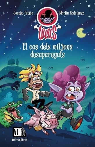 EL CAS DELS MITJONS DESAPAREGUTS | 9788419659101 | FEIJÓO, JACOBO | Llibreria Online de Vilafranca del Penedès | Comprar llibres en català