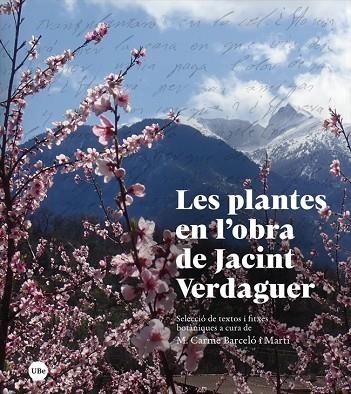 LES PLANTES EN L’OBRA DE JACINT VERDAGUER | 9788447540792 | BARCELÓ I MARTÍ, MARIA CARME | Llibreria Online de Vilafranca del Penedès | Comprar llibres en català