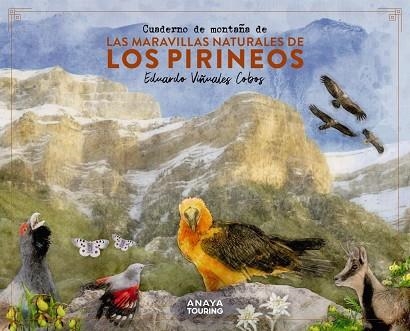 CUADERNO DE MONTAÑA DE LAS MARAVILLAS NATURALES DE LOS PIRINEOS | 9788491586036 | VIÑUALES COBOS, EDUARDO | Llibreria Online de Vilafranca del Penedès | Comprar llibres en català