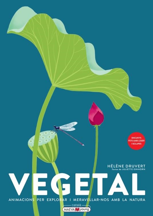 VEGETAL | 9788419110886 | DRUVERT, HÉLÈNE | Llibreria Online de Vilafranca del Penedès | Comprar llibres en català