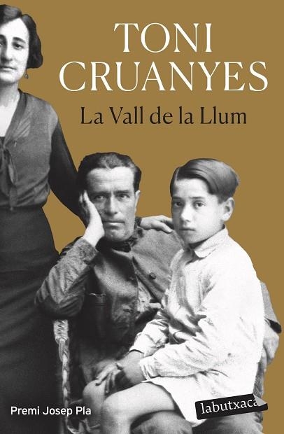 LA VALL DE LA LLUM | 9788419107701 | CRUANYES, TONI | Llibreria L'Odissea - Libreria Online de Vilafranca del Penedès - Comprar libros