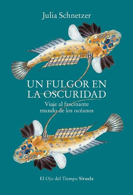 UN FULGOR EN LA OSCURIDAD | 9788419553119 | SCHNETZER, JULIA | Llibreria Online de Vilafranca del Penedès | Comprar llibres en català