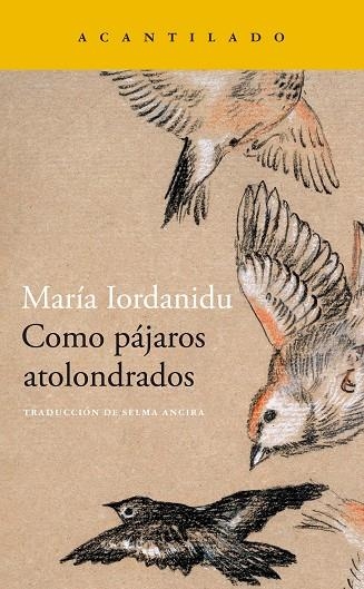 COMO PÁJAROS ATOLONDRADOS | 9788419036704 | IORDANIDU, MARIA | Llibreria Online de Vilafranca del Penedès | Comprar llibres en català