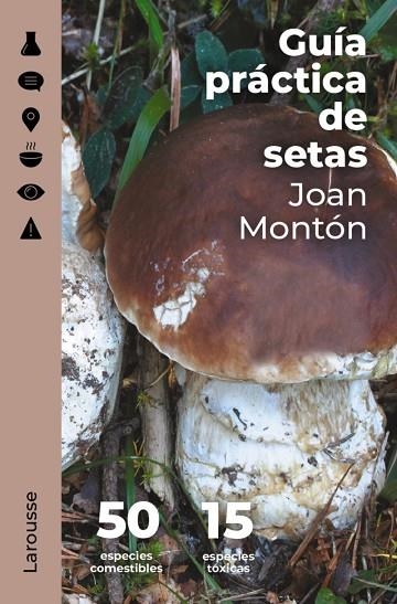 GUÍA PRÁCTICA DE SETAS | 9788418473845 | MONTÓN MARTÍNEZ, JOAN | Llibreria Online de Vilafranca del Penedès | Comprar llibres en català