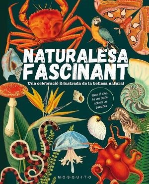 NATURALESA FASCINANT | 9788419095596 | MOSQUITO BOOKS | Llibreria Online de Vilafranca del Penedès | Comprar llibres en català