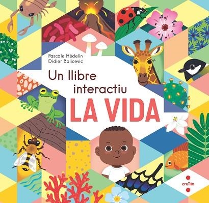 LA VIDA UN LLIBRE INTERACTIU | 9788466154864 | HÉDELIN, PASCALE/BALICEVIC, DIDIER | Llibreria Online de Vilafranca del Penedès | Comprar llibres en català