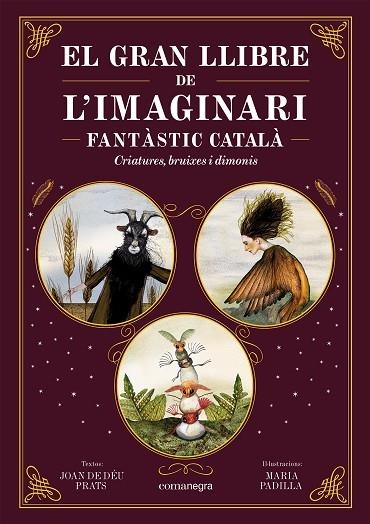 EL GRAN LLIBRE DE L'IMAGINARI FANTÀSTIC CATALÀ | 9788419590558 | PRATS, JOAN DE DÉU/PADILLA, MARIA | Llibreria Online de Vilafranca del Penedès | Comprar llibres en català