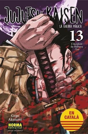 JUJUTSU KAISEN 13 CATALA | 9788467957679 | AKUTAMI, GEGE | Llibreria Online de Vilafranca del Penedès | Comprar llibres en català