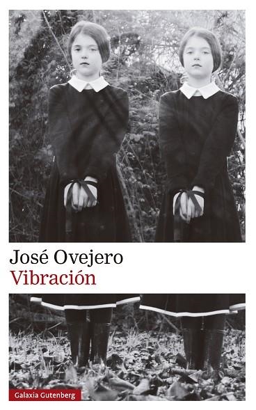 VIBRACIÓN | 9788419738615 | OVEJERO, JOSÉ | Llibreria Online de Vilafranca del Penedès | Comprar llibres en català