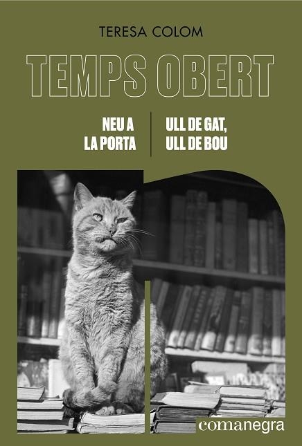 NEU A LA PORTA / ULL DE GAT, ULL DE BOU | 9788419590855 | COLOM, TERESA | Llibreria Online de Vilafranca del Penedès | Comprar llibres en català