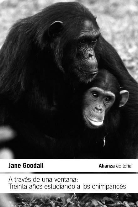 A TRAVÉS DE UNA VENTANA | 9788411485609 | GOODALL, JANE | Llibreria L'Odissea - Libreria Online de Vilafranca del Penedès - Comprar libros