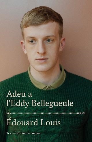 ADEU A L'EDDY BELLEGUEULE | 9788417353544 | LOUIS, ÉDOUARD | Llibreria L'Odissea - Libreria Online de Vilafranca del Penedès - Comprar libros