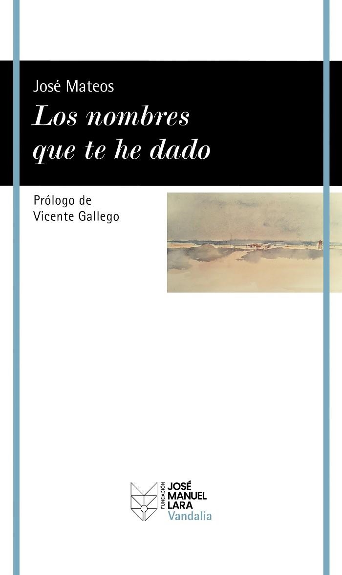 LOS NOMBRES QUE TE HE DADO | 9788419132345 | MATEOS, JOSÉ | Llibreria Online de Vilafranca del Penedès | Comprar llibres en català