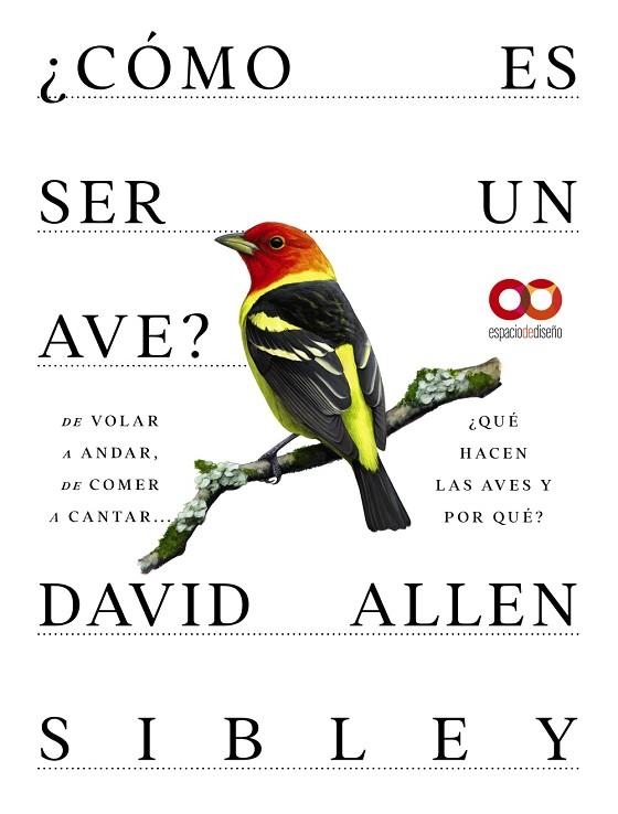 CÓMO ES SER UN AVE ?  | 9788441549050 | ALLEN SIBLEY, DAVID | Llibreria Online de Vilafranca del Penedès | Comprar llibres en català