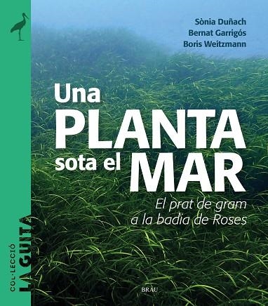 UNA PLANTA SOTA EL MAR | 9788418096747 | DUÑACH, SÒNIA/GARRIGÓS, BERNAT/WEITZMANN, BORIS | Llibreria Online de Vilafranca del Penedès | Comprar llibres en català