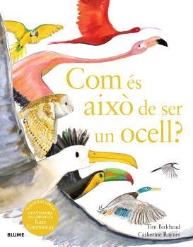 COM ÉS AIXÒ DE SER UN OCELL ? | 9788410048102 | BIRKHEAD, TIM/RAYNER, CATHERINE | Llibreria Online de Vilafranca del Penedès | Comprar llibres en català