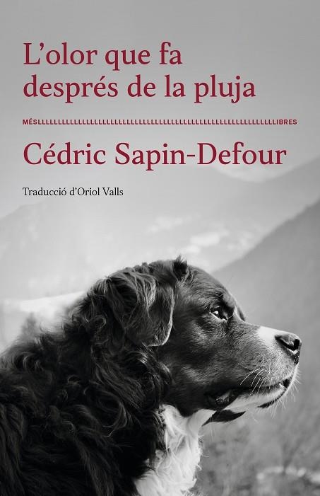 L'OLOR QUE FA DESPRÉS DE LA PLUJA | 9788417353568 | CÉDRIC SAPIN-DEFOUR | Llibreria Online de Vilafranca del Penedès | Comprar llibres en català