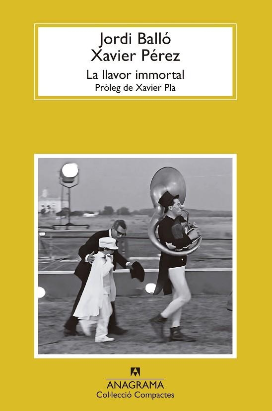 LA LLAVOR IMMORTAL | 9788433927347 | BALLÓ, JORDI/PÉREZ, XAVIER | Llibreria L'Odissea - Libreria Online de Vilafranca del Penedès - Comprar libros