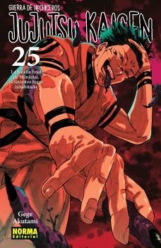 JUJUTSU KAISEN 25 | 9788467971743 | AKUTAMI, GEGE | Llibreria Online de Vilafranca del Penedès | Comprar llibres en català