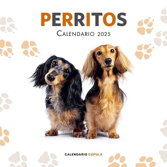 CALENDARIO PERRITOS 2025 | 9788448041649 | VV. AA | Llibreria Online de Vilafranca del Penedès | Comprar llibres en català