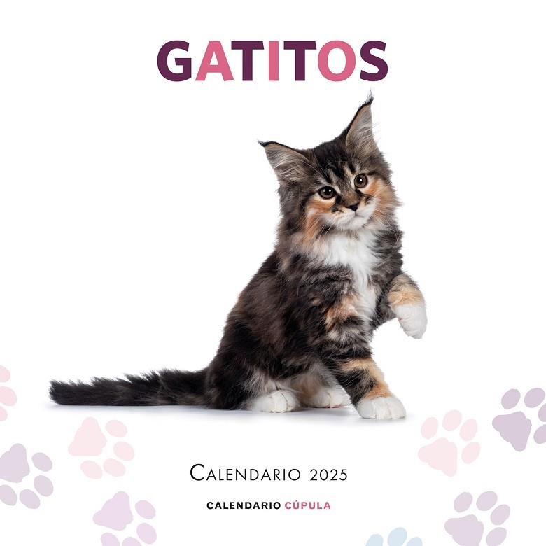 CALENDARIO GATITOS 2025 | 9788448041656 | VV. AA | Llibreria Online de Vilafranca del Penedès | Comprar llibres en català