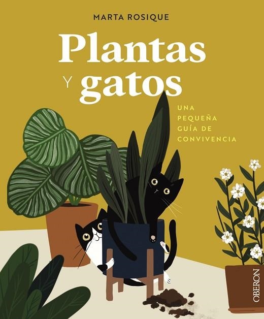 PLANTAS Y GATOS | 9788441550605 | ROSIQUE, MARTA | Llibreria Online de Vilafranca del Penedès | Comprar llibres en català