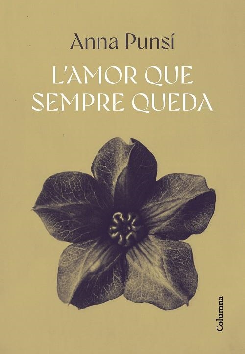 L'AMOR QUE SEMPRE QUEDA | 9788466432382 | PUNSÍ LLADÓ, ANNA | Llibreria Online de Vilafranca del Penedès | Comprar llibres en català