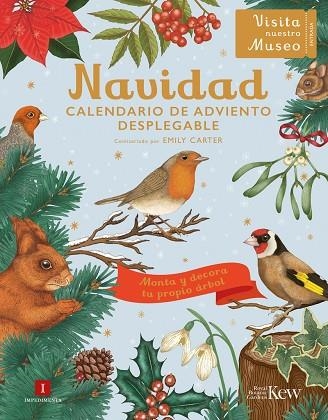 NAVIDAD CALENDARIO DE ADVIENTO DESPLEGABLE | 9788419581624 | CARTER, EMILY | Llibreria Online de Vilafranca del Penedès | Comprar llibres en català