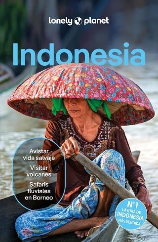 INDONESIA 6 | 9788408291190 | D'ARCY, JAYNE/EIMER, DAVID/HARDING, PAUL/JOHANSON, MARK/LEE, JASON/ST.LOUIS, REGIS/BERKMOES, RYAN VE | Llibreria Online de Vilafranca del Penedès | Comprar llibres en català