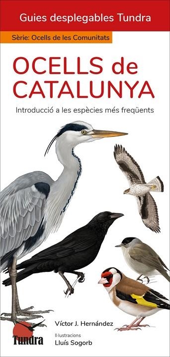 OCELLS DE CATALUNYA | 9788419624864 | HERNÁNDEZ, VÍCTOR J. | Llibreria L'Odissea - Libreria Online de Vilafranca del Penedès - Comprar libros