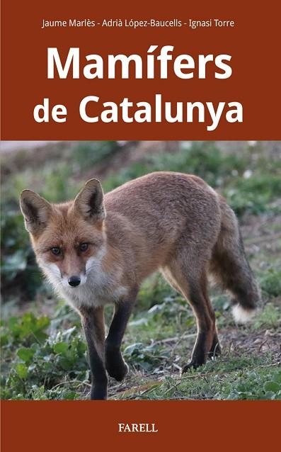 MAMÍFERS DE CATALUNYA | 9788417116927 | MARLES MAGRE, JAUME/LOPEZ-BAUCELLS, ADRIA/TORRE COROMINAS, IGNASI | Llibreria Online de Vilafranca del Penedès | Comprar llibres en català