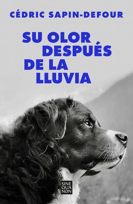 SU OLOR DESPUÉS DE LA LLUVIA | 9788466678766 | SAPIN-DEFOUR, CÉDRIC | Llibreria Online de Vilafranca del Penedès | Comprar llibres en català