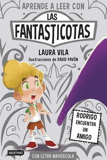 APRENDE A LEER CON LAS FANTASTICOTAS 11 RODRIGO ENCUENTRA UN AMIGO | 9788408297406 | VILA, LAURA | Llibreria Online de Vilafranca del Penedès | Comprar llibres en català